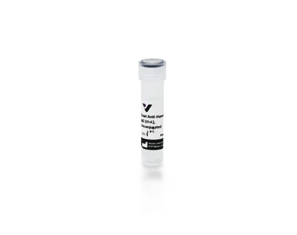 Anti-Hamster IgG (H+L), made in goat, Unconjugated, 1.5mg