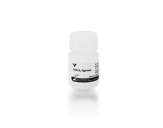 Concanavalin A (Con A), Agarose bound, 10 mL