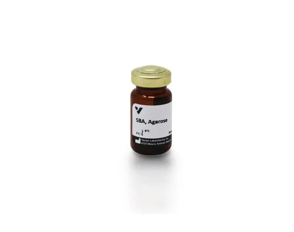 Soybean agglutinin (SBA), Agarose bound