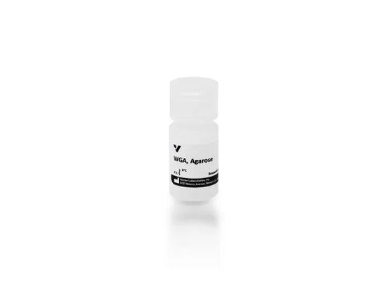 Wheat germ agglutinin (WGA), Agarose bound, 2 mL