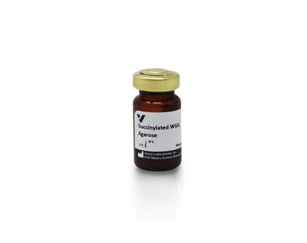Wheat germ agglutinin (WGA), Agarose bound, succinylated
