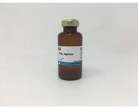 Peanut agglutinin (PNA), Agarose bound