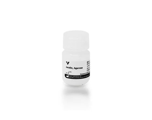 Jacalin, Agarose bound