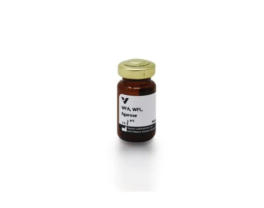 Wisteria floribunda lectin (WFA, WFL), Agarose bound