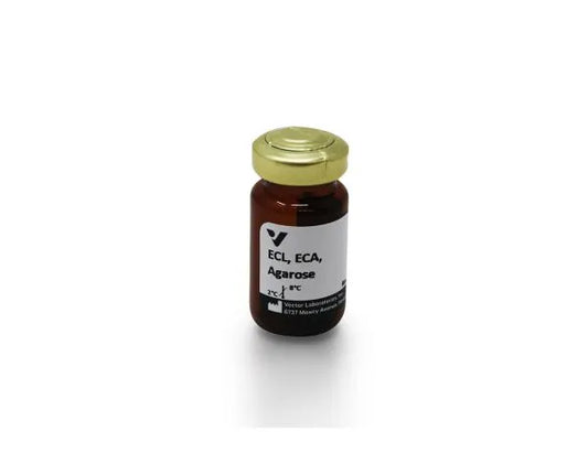 Erythrina cristagalli lectin (ECL, ECA), Agarose bound