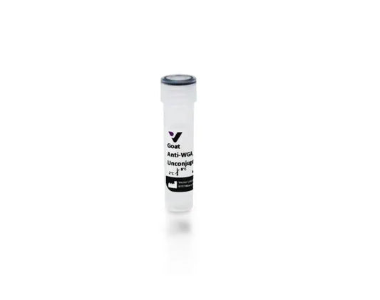 Anti-Wheat germ agglutinin, made in goat, Unconjugated