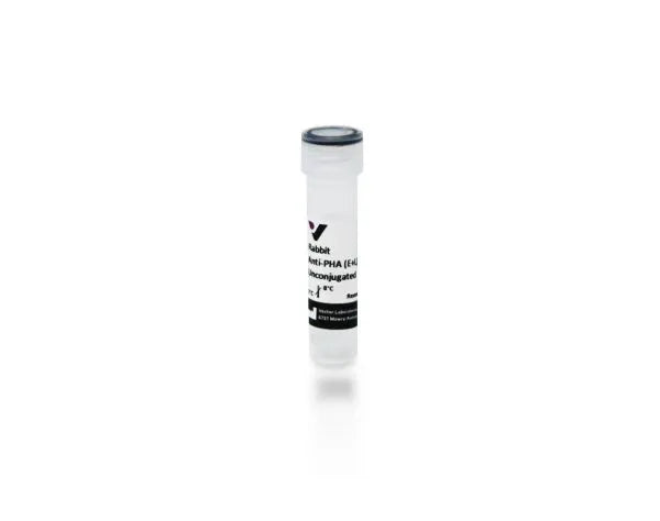 Anti-Phaseolus vulgaris agglutinin (E+L), made in rabbit, Unconjugated