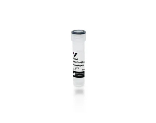 Anti-Phaseolus vulgaris agglutinin (E+L), made in rabbit, Unconjugated