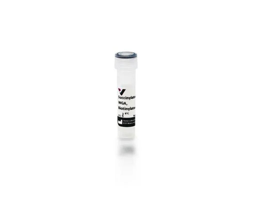 Wheat germ agglutinin (WGA), Biotinylated, succinylated