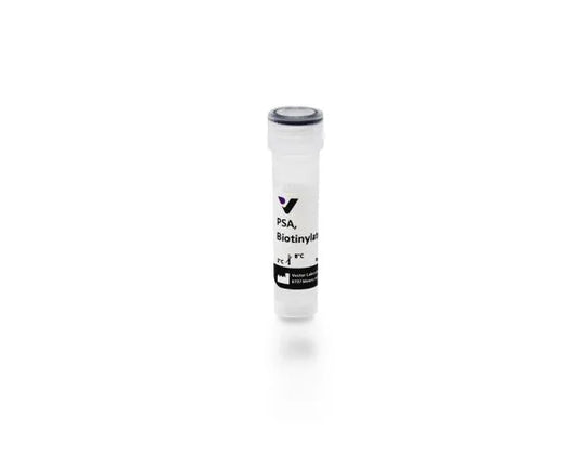 Pisum sativum agglutinin (PSA), Biotinylated