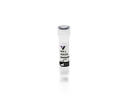Ricinus Communis Agglutinin I (RCA I, RCA120), Biotinylated, 1 mg