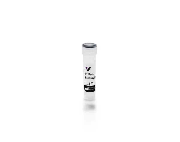 Phaseolus vulgaris Leucoagglutinin (PHA-L), Biotinylated