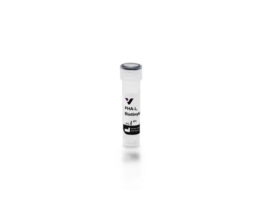 Phaseolus vulgaris Leucoagglutinin (PHA-L), Biotinylated