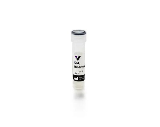 Datura stramonium lectin (DSL), Biotinylated