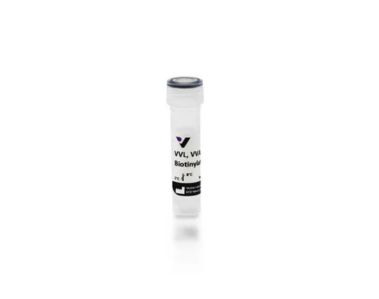 Vicia villosa lectin (VVL, VVA), Biotinylated
