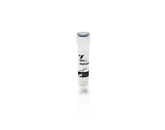 Maackia amurensis lectin I (MAL I), Biotinylated