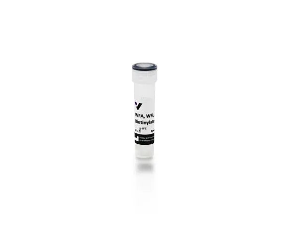 Wisteria floribunda lectin (WFA, WFL), Biotinylated