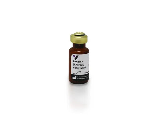 Biotinylated Protein A