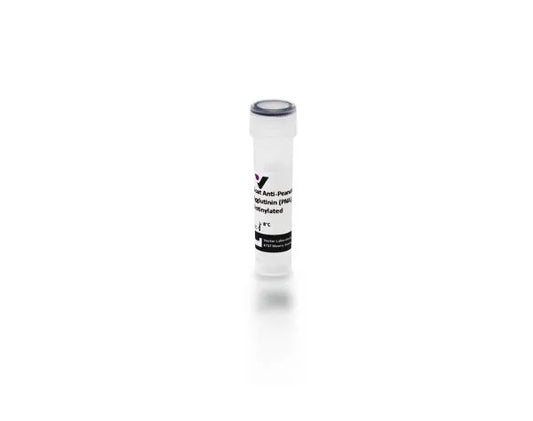 Biotinylated Anti-Peanut agglutinin