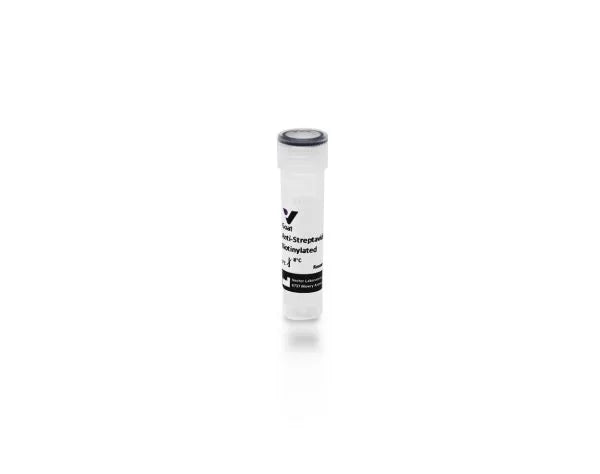 Biotinylated Anti-Streptavidin
