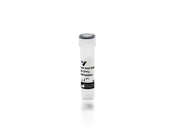 Image of VECTBA1000 - Anti-Rabbit IgG (H+L), made in goat, Biotinylated, 1.5mg