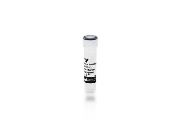 Anti-Mouse IgG (H+L), rat adsorbed, made in horse, Biotinylated