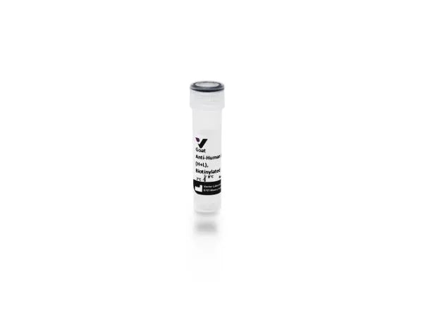 Anti-Human IgG (H+L), made in goat, Biotinylated, 1.5mg