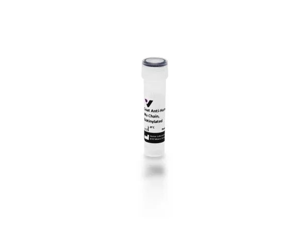 Anti-Human IgM, mu chain specific, made in goat, Biotinylated