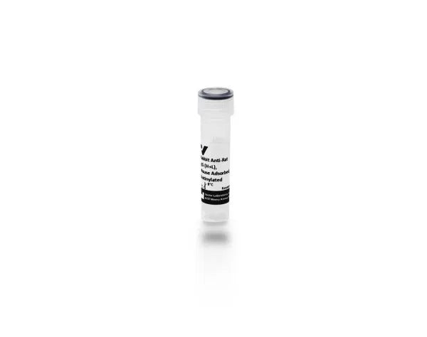Anti-Rat IgG (H+L), mouse adsorbed, made in rabbit, Biotinylated