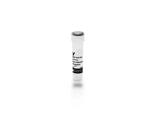 Anti-Rat IgG (H+L), mouse adsorbed, made in rabbit, Biotinylated