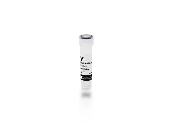 Anti-Goat IgG (H+L), made in rabbit, Biotinylated, 1.5mg