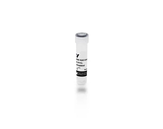 Anti-Goat IgG (H+L), made in rabbit, Biotinylated, 1.5mg