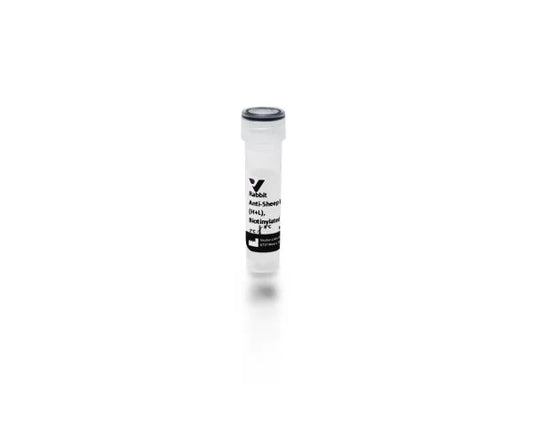 Anti-Sheep IgG (H+L), made in rabbit, Biotinylated, 1.5mg