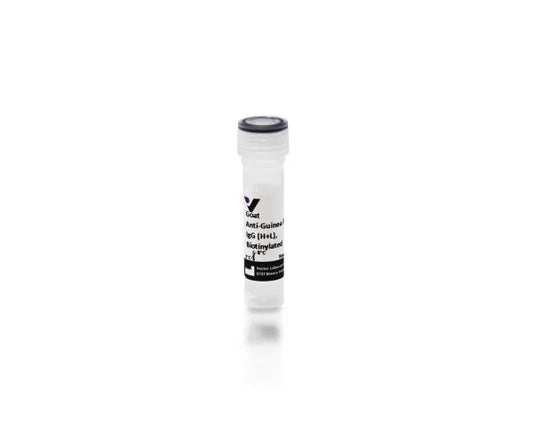 Anti-Guinea Pig IgG (H+L), made in goat, Biotinylated, 1.5mg