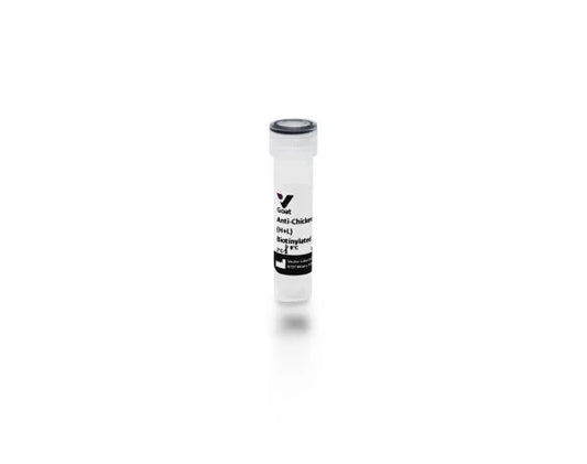 Anti-Chicken IgG (H+L), made in goat, Biotinylated, 1.5mg