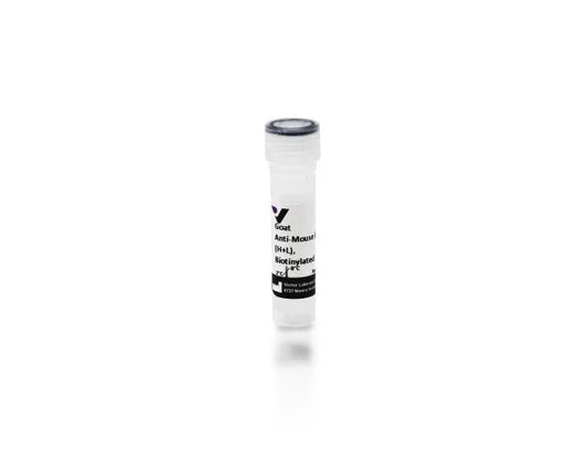 Anti-Mouse IgG (H+L), made in goat, Biotinylated, 1.5mg