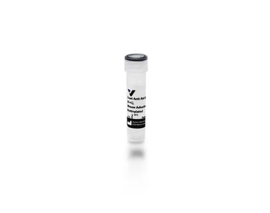 Anti-Rat IgG (H+L), mouse adsorbed, made in goat, Biotinylated