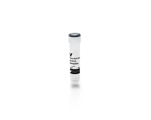 Anti-Goat IgG (H+L), made in horse, Biotinylated, 1.5mg