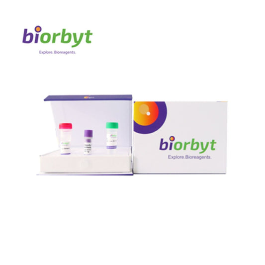 ***Triplex DNA Mouse Monoclonal Antibody, 50 µg