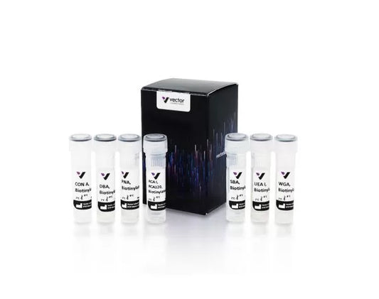Biotinylated Lectin Kit I