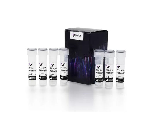 Biotinylated Lectin Kit III