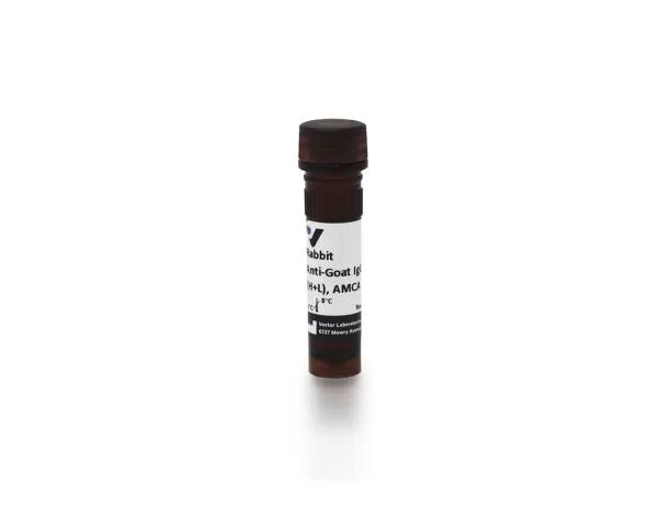 Anti-Goat IgG (H+L), made in rabbit, AMCA labeled, 1.5mg