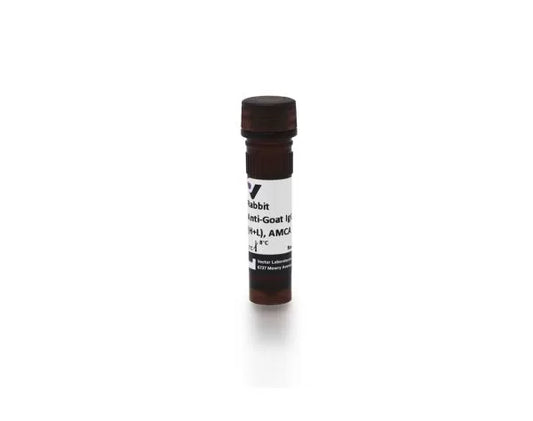 Anti-Goat IgG (H+L), made in rabbit, AMCA labeled, 1.5mg