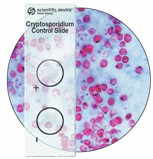 Cryptosporidium Control Slides, 10 Slides/Box