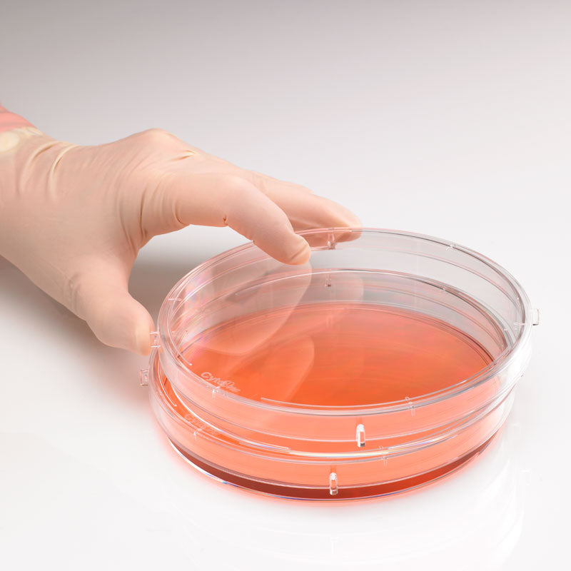 Image of USCC76823614 - CytoOne 150 x 20 mm TC Dish, 5/Sleeve, 60/Case
