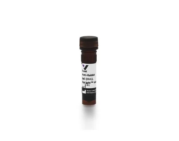 DyLight 649 Anti-Rabbit IgG (H+L), made in goat, 1.5mg