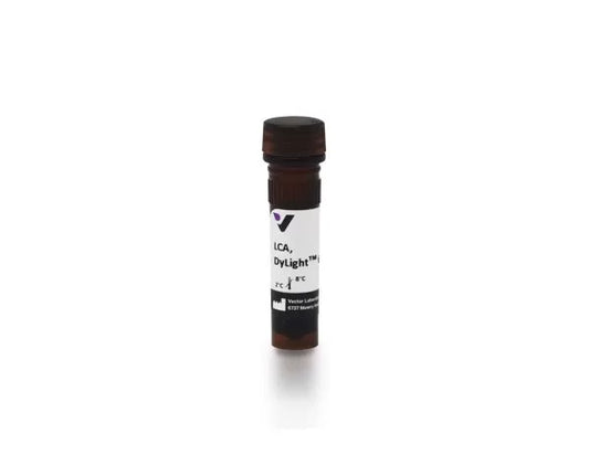 DyLight 649 Lens Culinaris Agglutinin (LCA, LcH), Affinity Purified