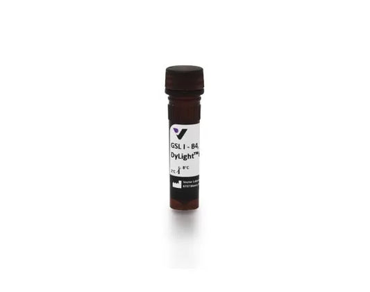 Griffonia Simplicifolia Lectin I (GSL I) isolectin B4, DyLight® 649