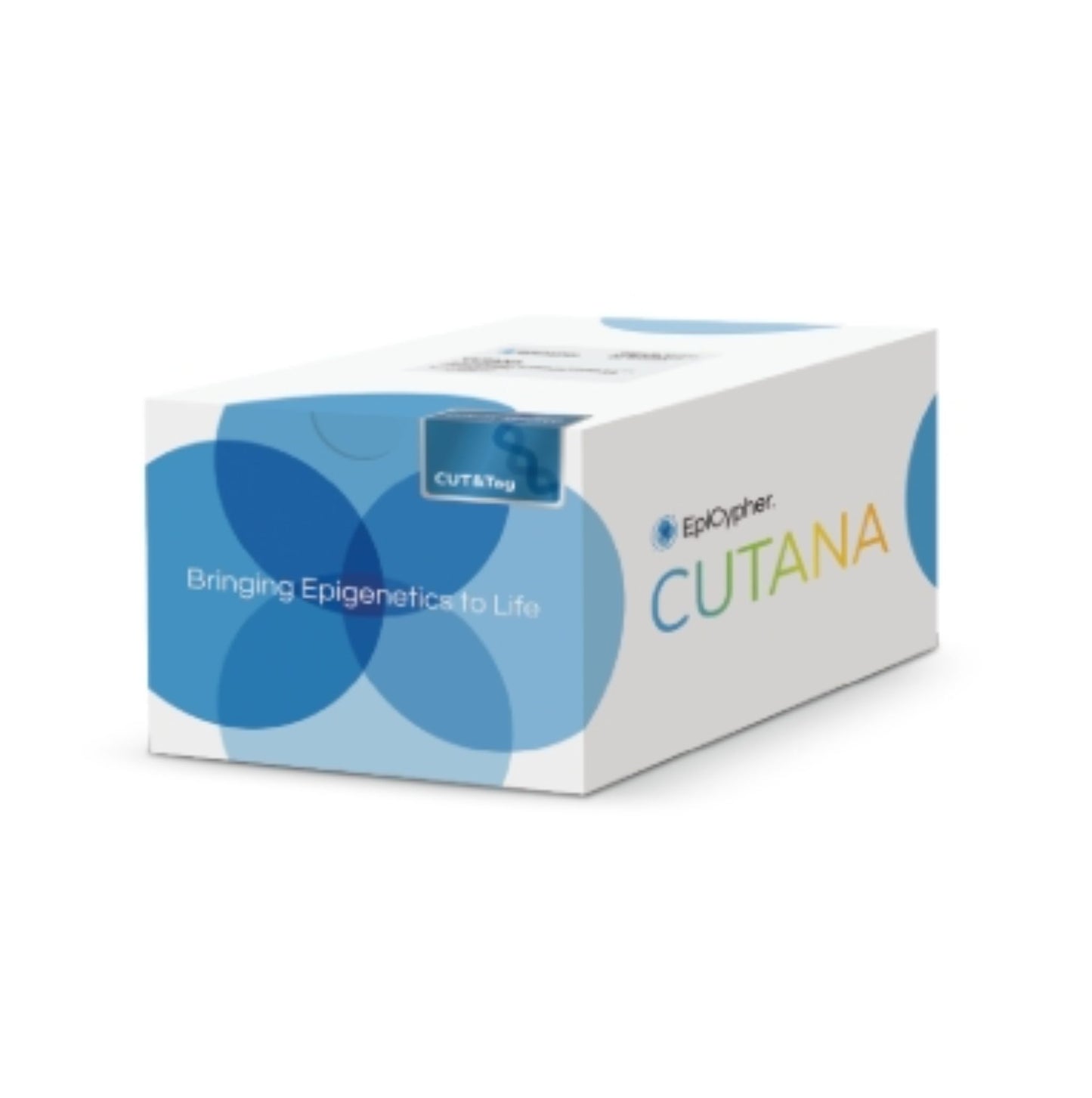 ***CUTANA™ CUT&Tag Kit, 48 Reactions (Primer Set 2)