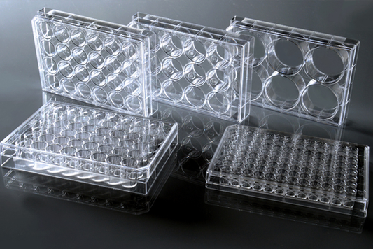 96 Well Cell Culture Plate, White Frame with Clear PS Bottom, Flat bottom, TC Treated, Sterile, 1/pack, 30/cs